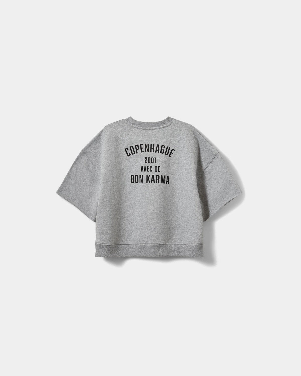 Sofie Schnoor YOUNG ELOISESY SWEATSHIRT Sweatshirt 8010 Grey melange