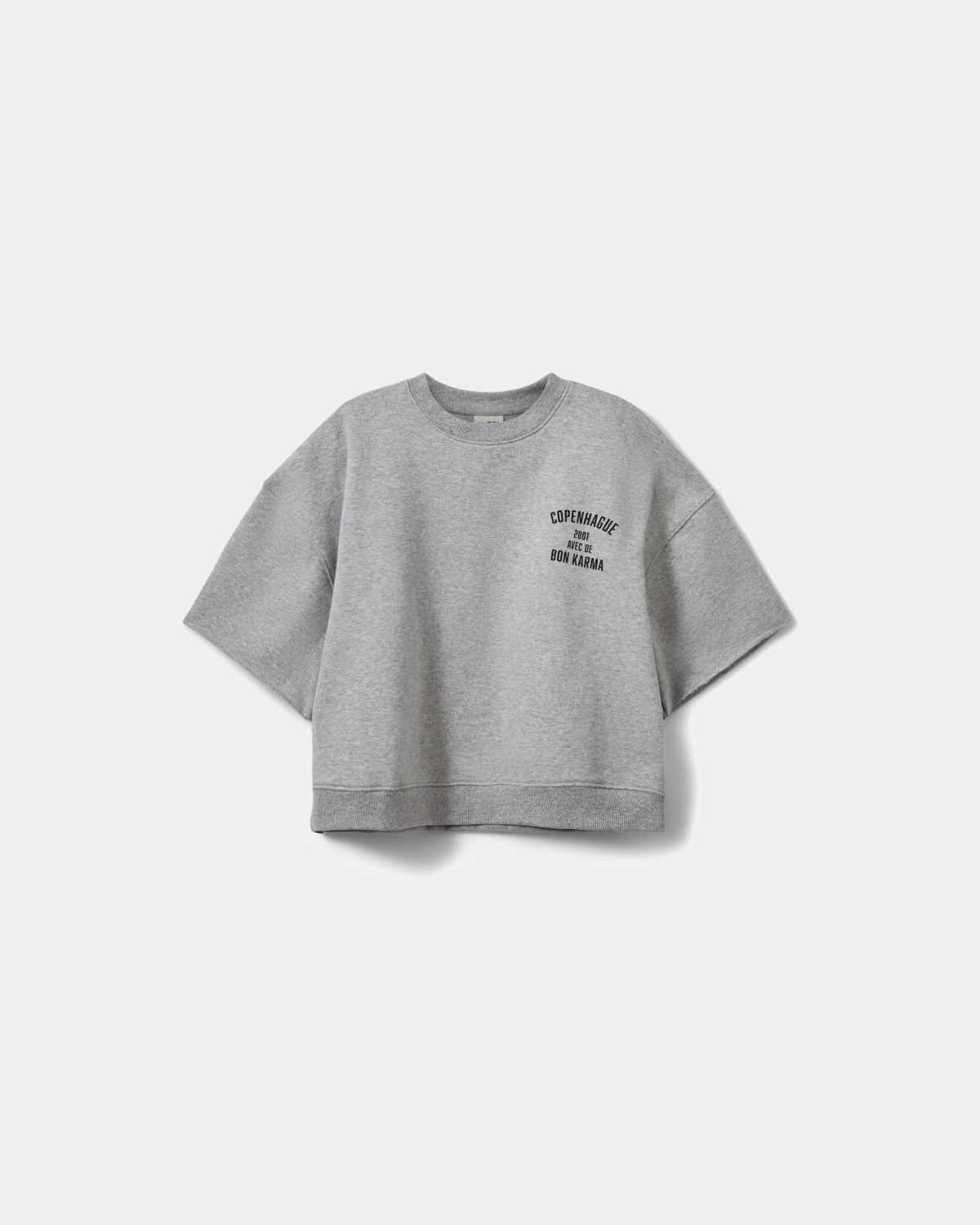 Sofie Schnoor YOUNG ELOISESY SWEATSHIRT Sweatshirt 8010 Grey melange